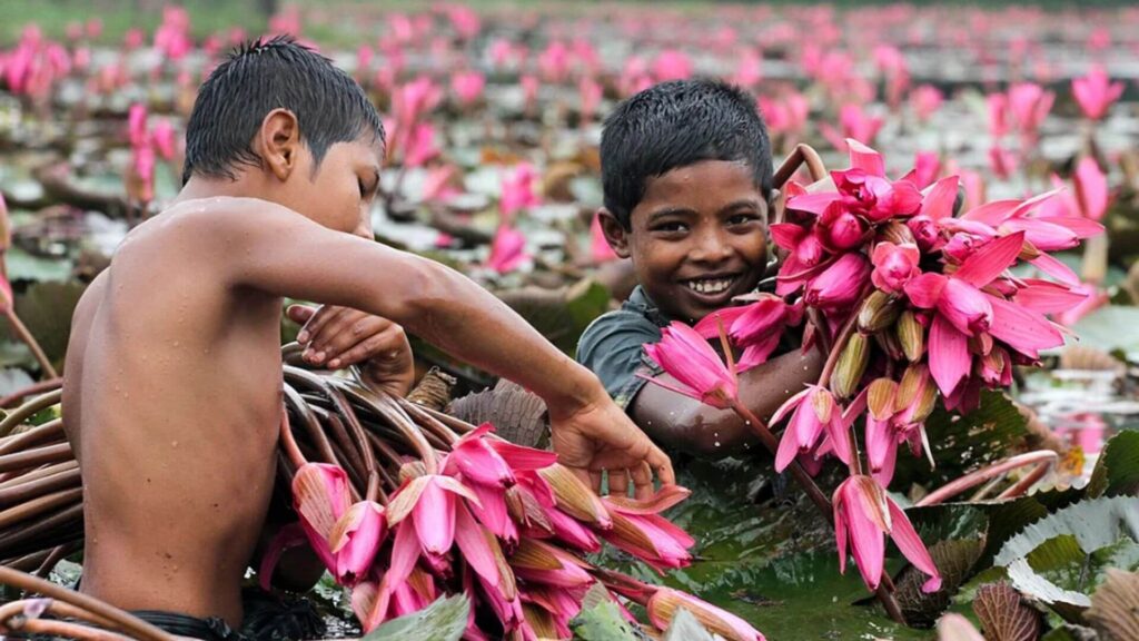 Two boys are bending over a pond, picking colorful flowers from the water's edge.